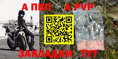 твердый Кингисепп