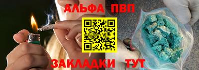 твердый Кингисепп