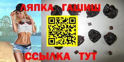 твердый Кингисепп