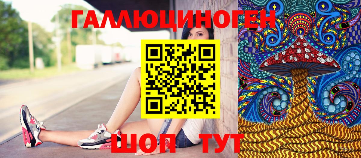 дарнет шоп  Галлюциногенные грибы Psilocybe  Вход с VPN  Куйбышев 