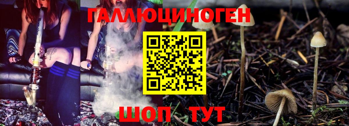 Галлюциногенные грибы MAGIC MUSHROOMS Куйбышев